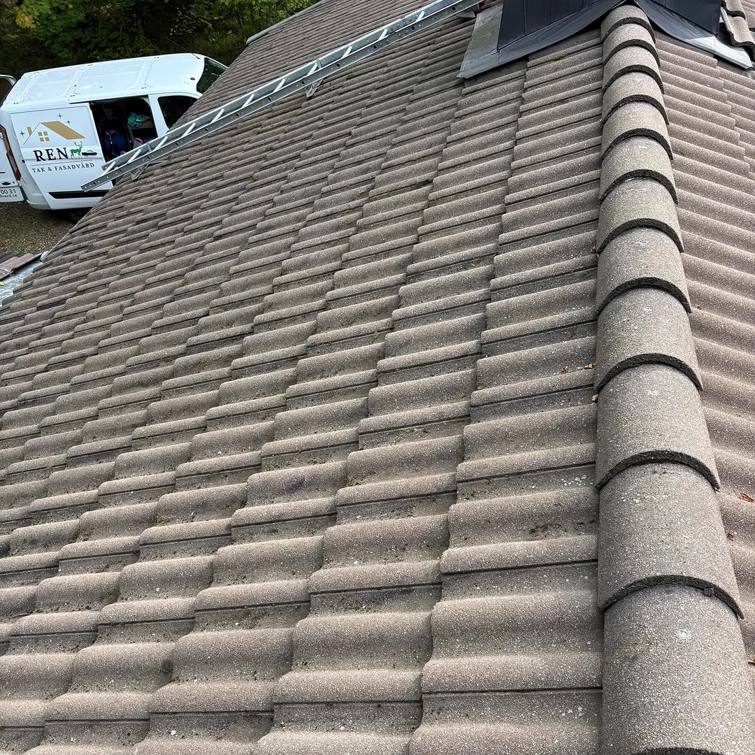 Tak efter professionell mossbortagning och takvård