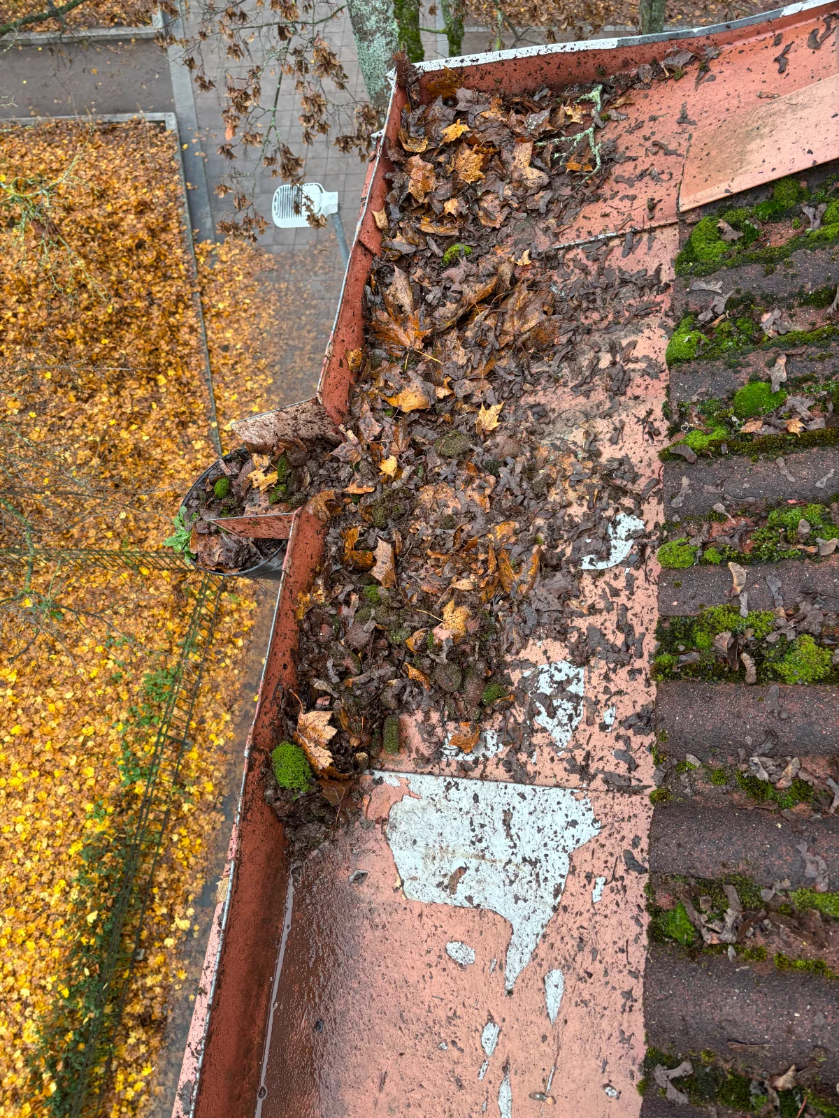 Expertmässig Rensning av Hängrännor i Uppsala & Stockholm