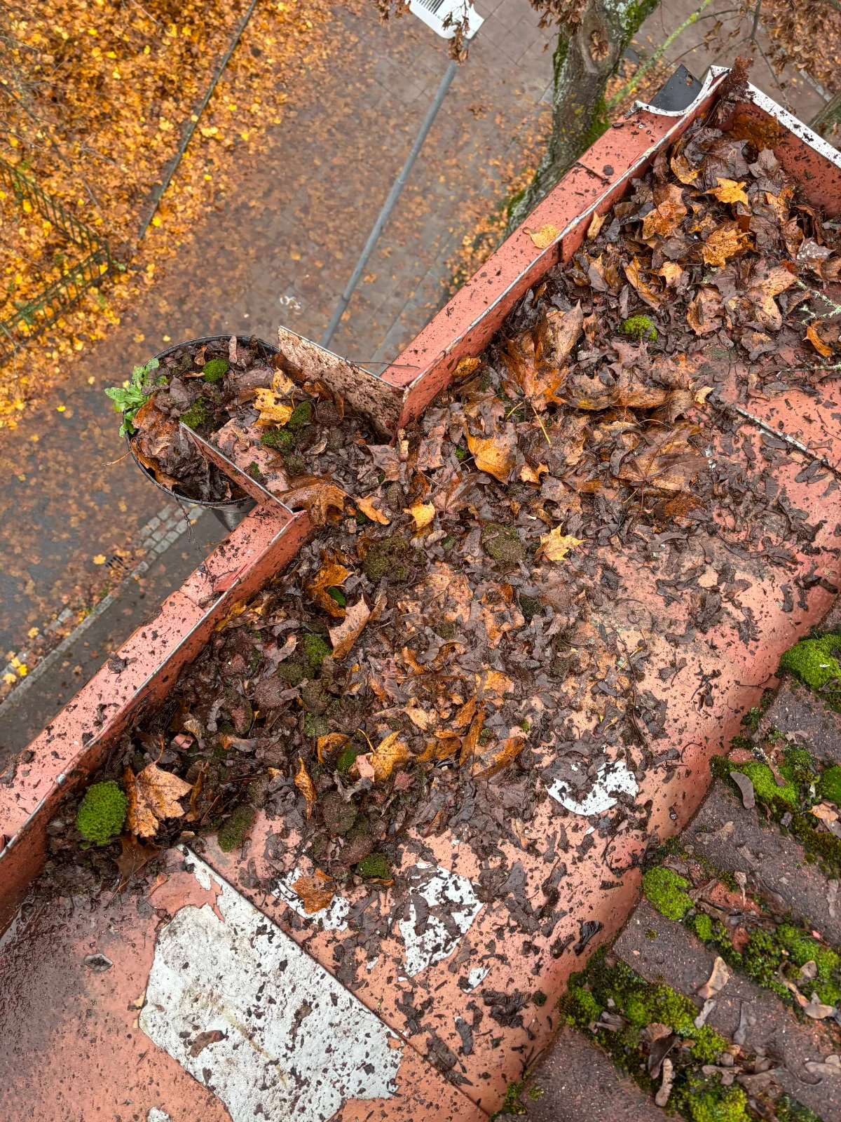Rensa hängrännor i Uppsala - före rengöring, smutsig och lövigt
