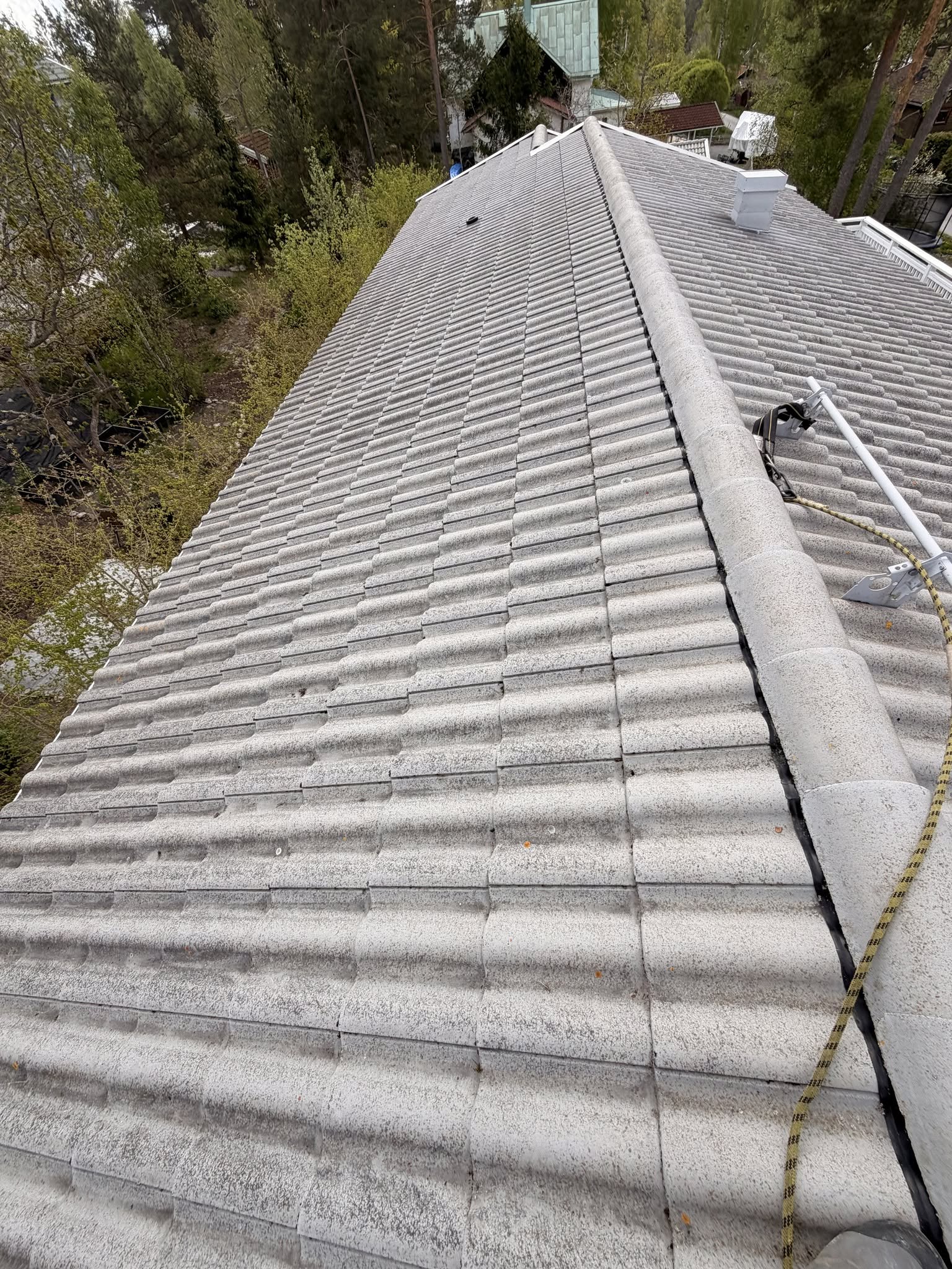 Professionell takvård i Nacka – rent tak efter takvård