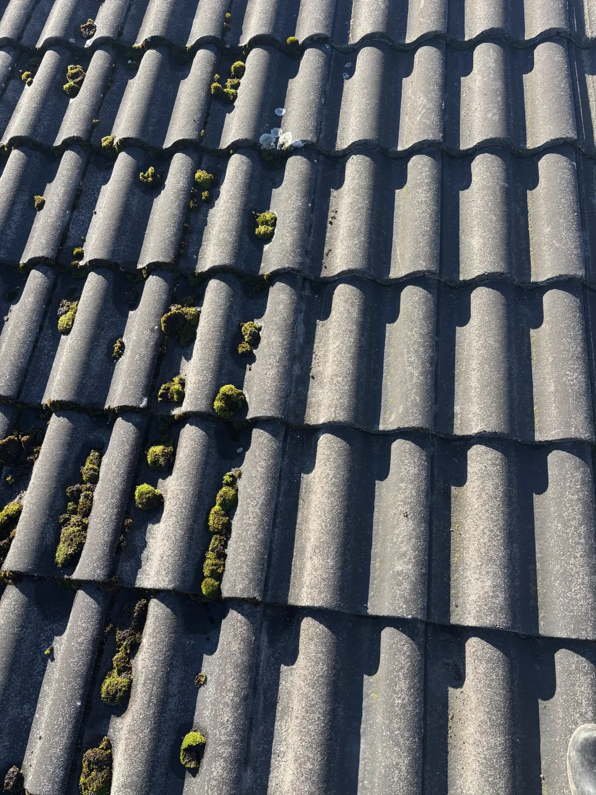 Takvård Uppsala - professionell takbehandling och underhåll